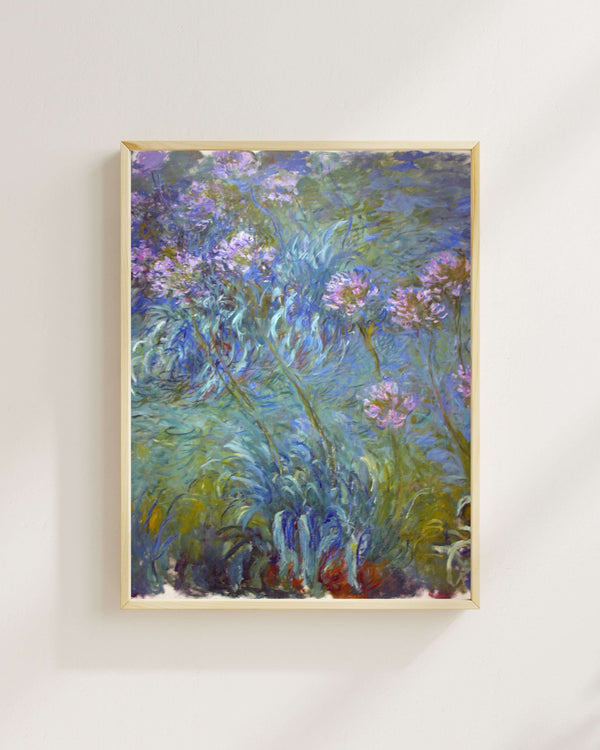 Claude Monet - Agapanthus Fine Art Baskı