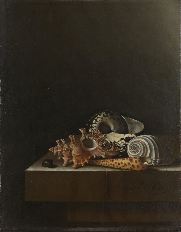 Adriaen Coorte - Taş Kaide Üzerinde Deniz Kabukları Tablo