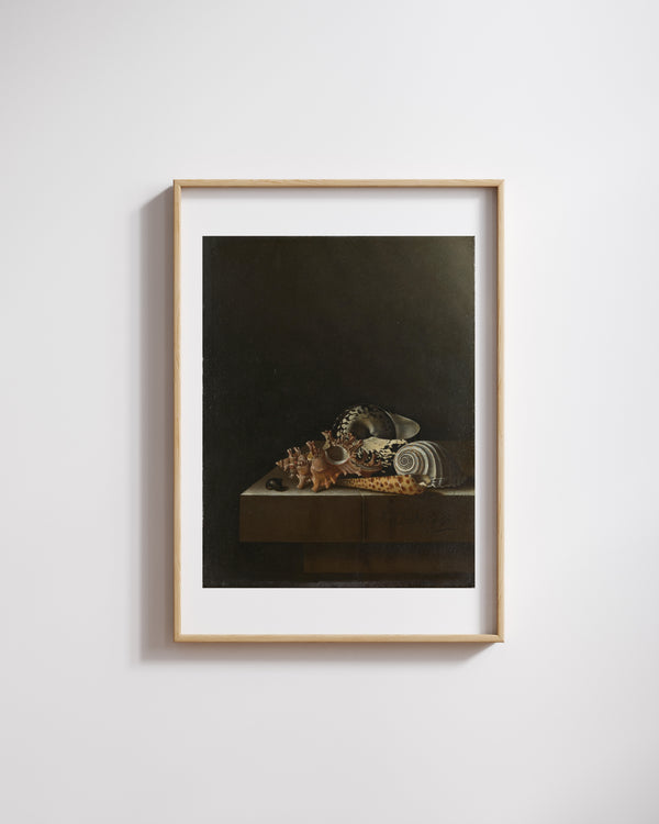 Adriaen Coorte - Taş Kaide Üzerinde Deniz Kabukları Çerçeve