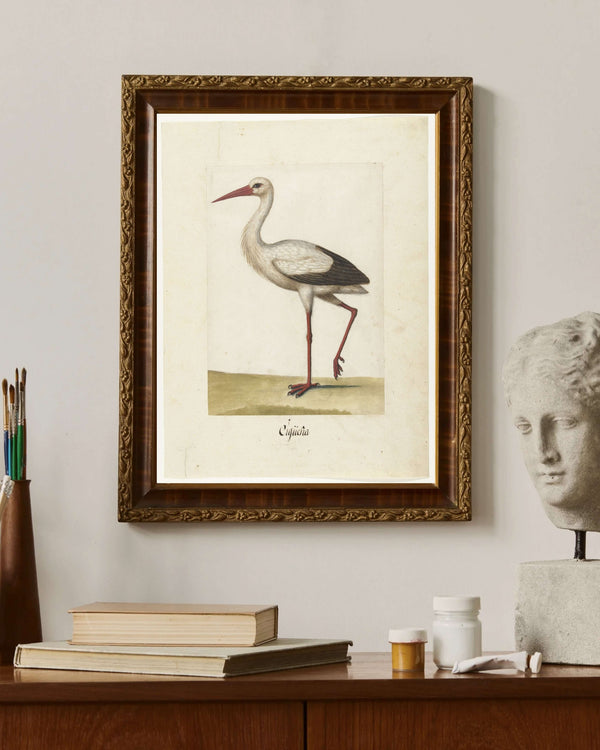 Anoniem - Leylek fine art baskı