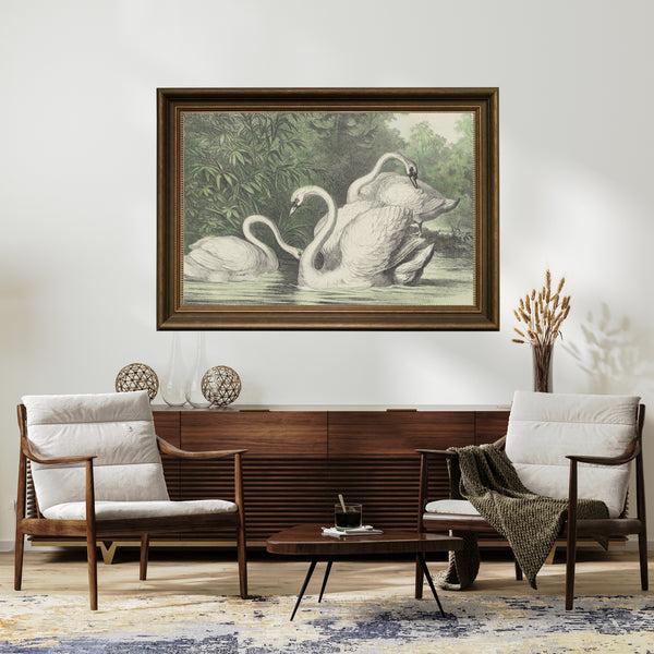 Anoniem - Kuğular fine art baskı
