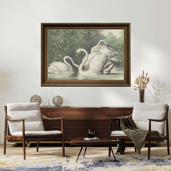 Anoniem - Kuğular fine art baskı