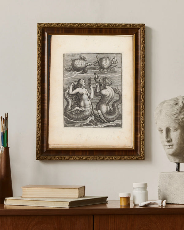 Anonim - Kaplumbağa, Yengeç, Denizkızı ve Deniz Adamı