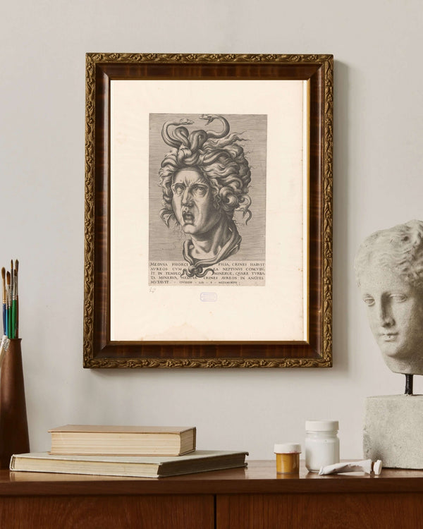 Anonim - Medusa Çerçeve