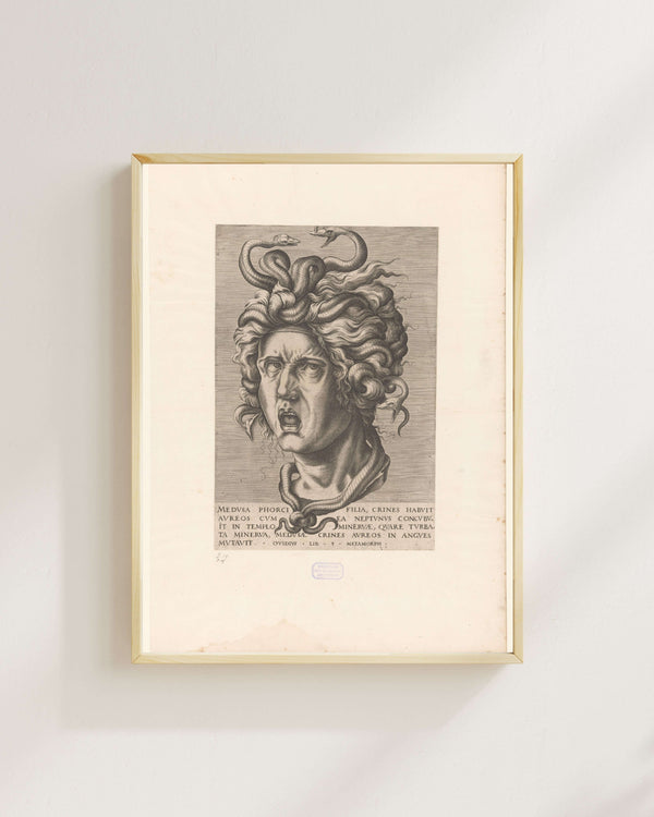 Anonim - Medusa Fine Art Baskı