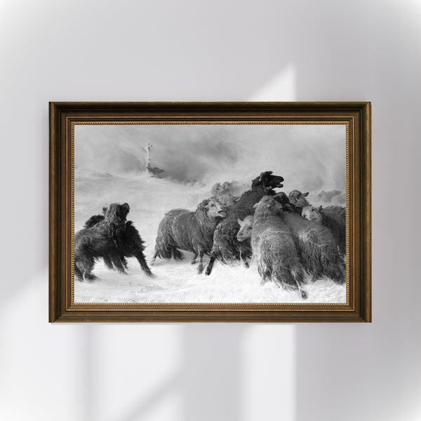 August Friedrich Albrecht Schenck – Auvergne’in Kayıp Hatırası