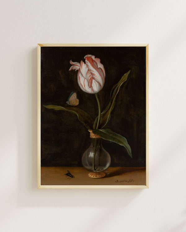 Balthasar van der Ast - Vazoda Tek Bir Lale fine art baskı