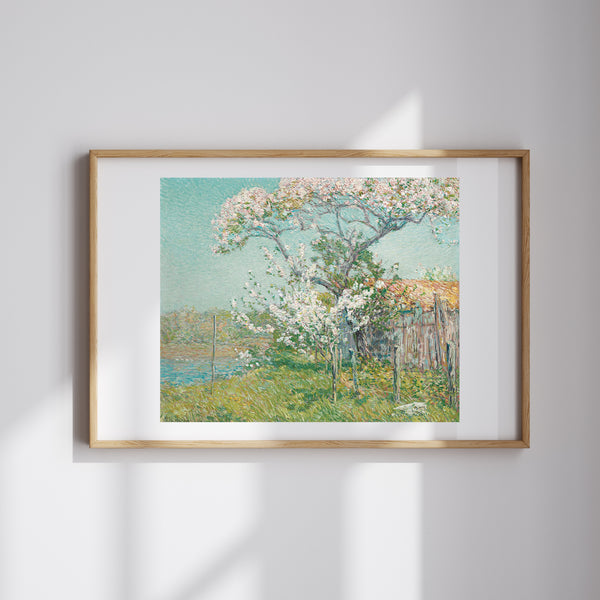Childe Hassam - Eski Lyme'da Çiçek Açan Elma Ağaçları