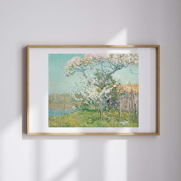 Childe Hassam - Eski Lyme'da Çiçek Açan Elma Ağaçları fine art baskı