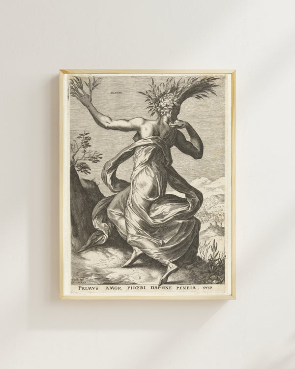 Cornelis Cort - Daphne fine art baskı