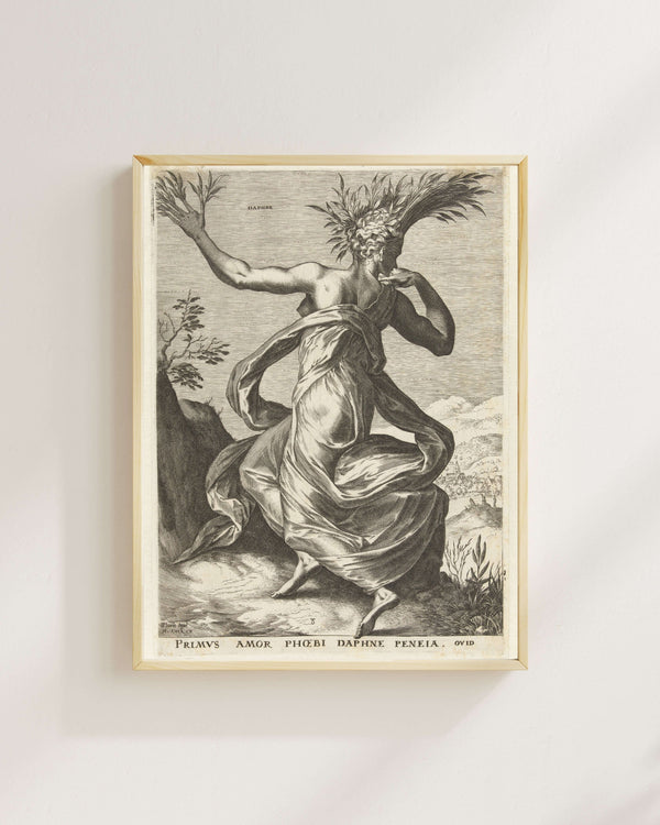 Cornelis Cort - Daphne fine art baskı