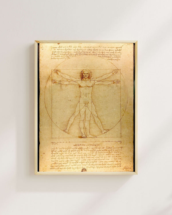 Leonardo da Vinci - Vitruvius Adamı fine art baskı