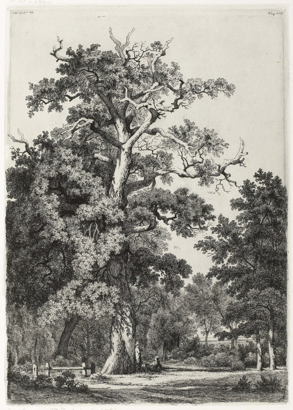 Eugène Bléry - Bois de Boulogne’da Yaşlı Meşe Fine Art Baskı