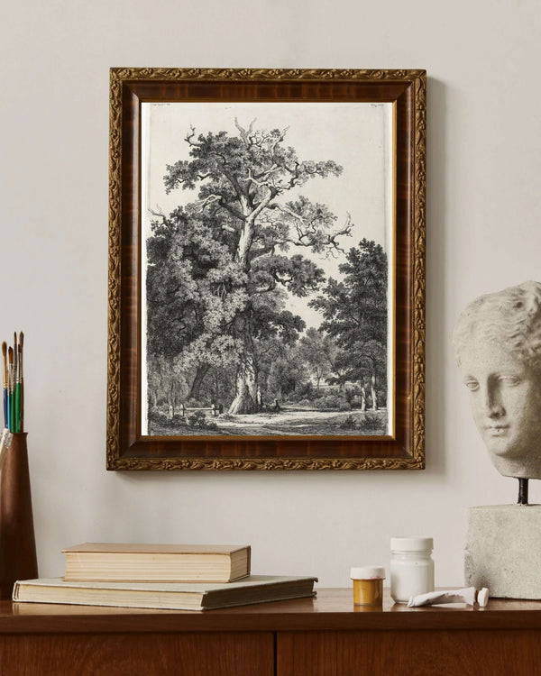 Eugène Bléry - Bois de Boulogne’da Yaşlı Meşe Fine Art Baskı