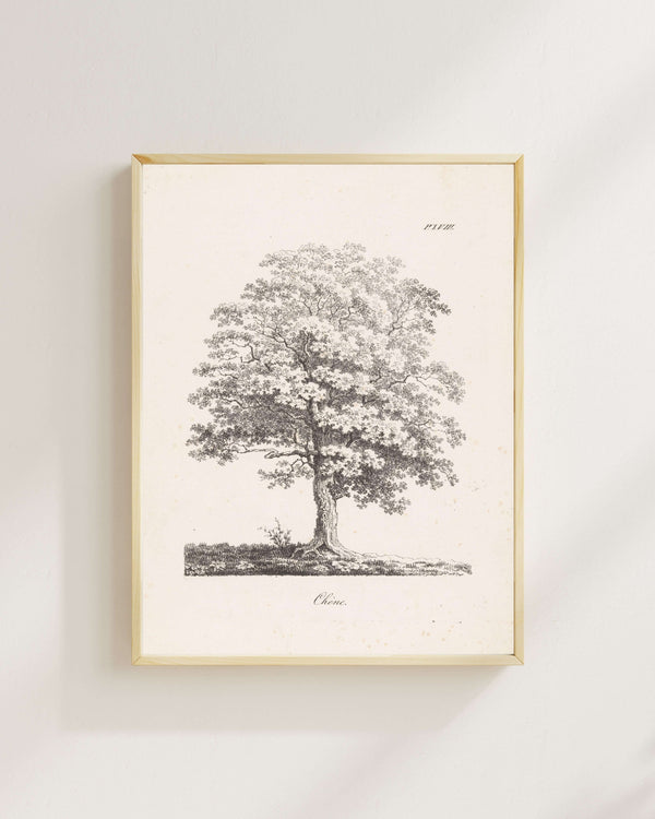 J. Bernard - Meşe Fine Art Baskı
