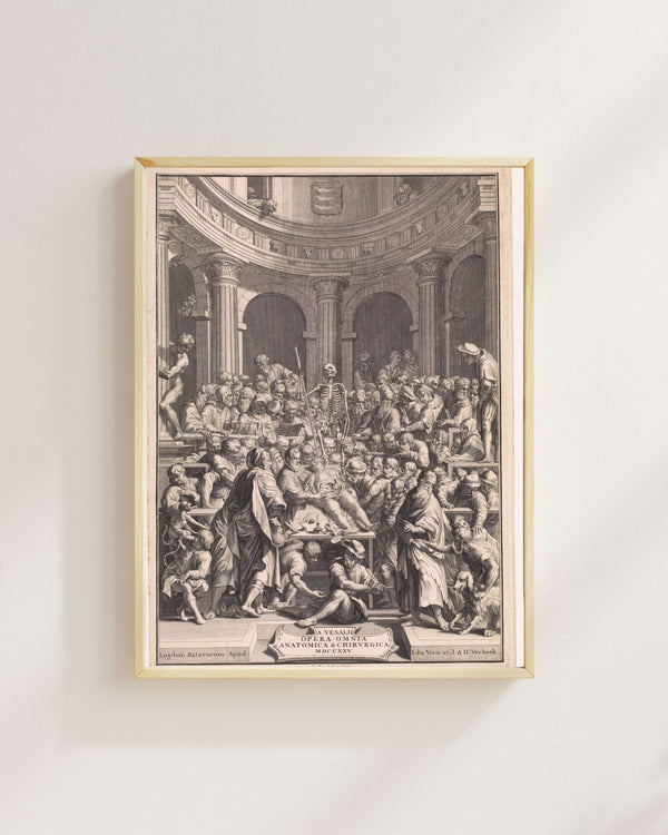 Jan Wandelaar - Anatomi Dersi Fine Art Baskı