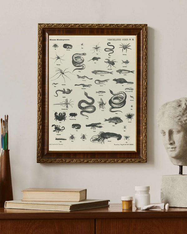 L. van Leer & Co. - Çeşitli Hayvanlar II fine art baskı