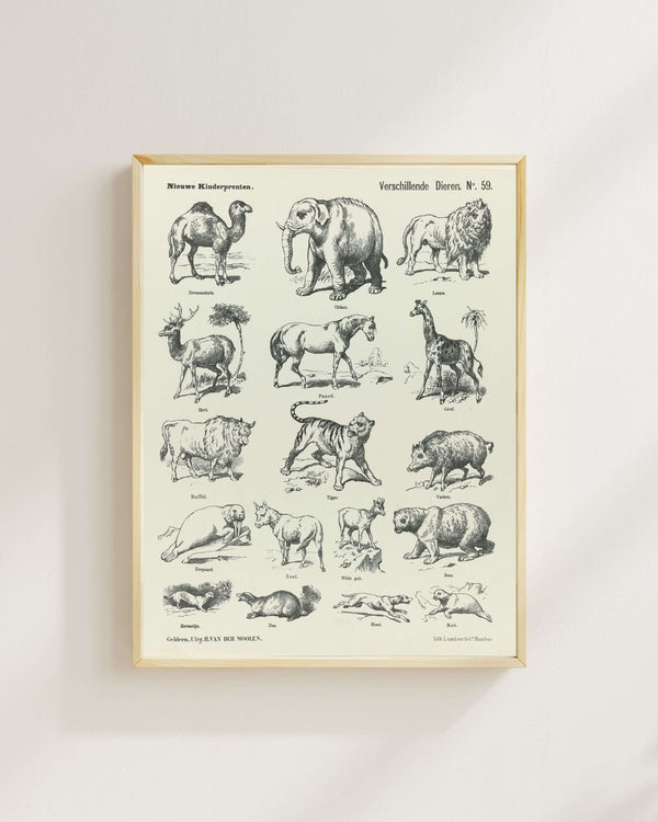 L. van Leer & Co. - Çeşitli Hayvanlar fine art baskı