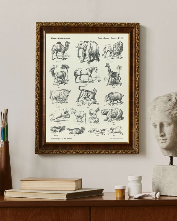 L. van Leer & Co. - Çeşitli Hayvanlar fine art baskı