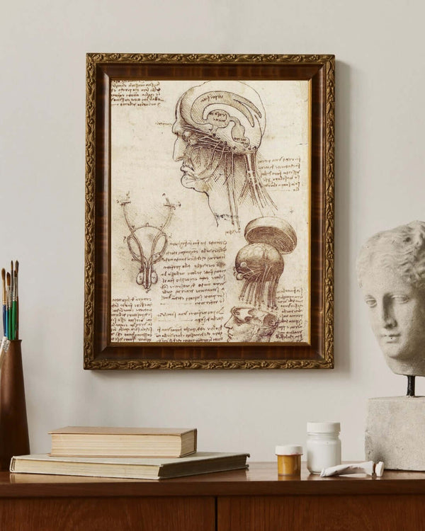 Leonardo da Vinci - Beyin Fizyolojisi Çalışmaları fine art baskı