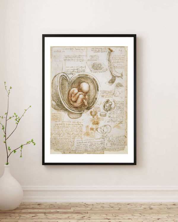 Leonardo da Vinci - Rahimdeki Fetüs Çalışmaları fine art baskı