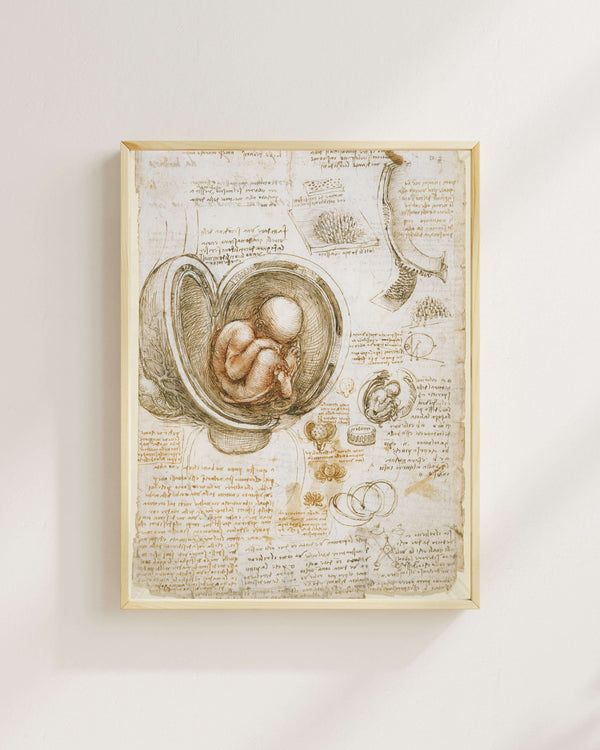 Leonardo da Vinci - Rahimdeki Fetüs Çalışmaları fine art baskı