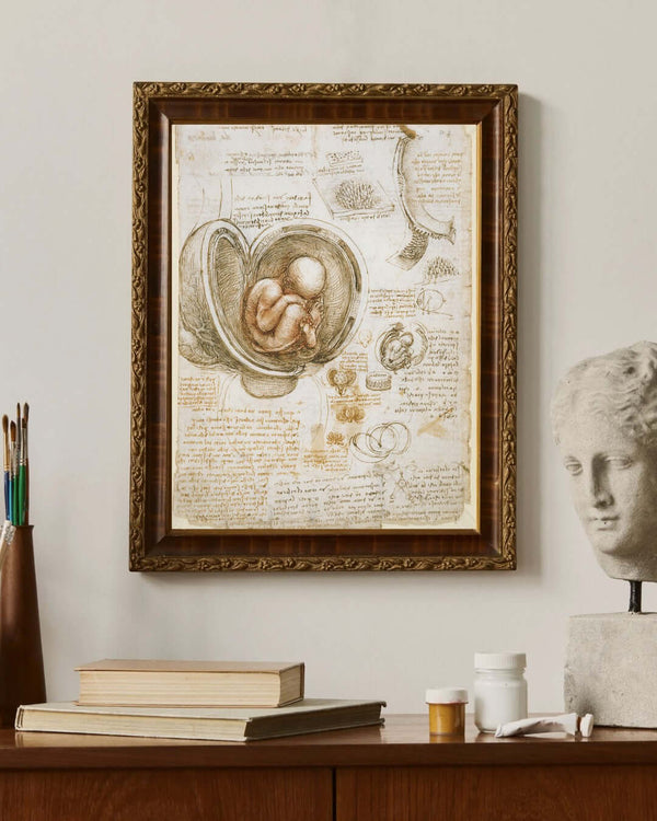 Leonardo da Vinci - Rahimdeki Fetüs Çalışmaları fine art baskı