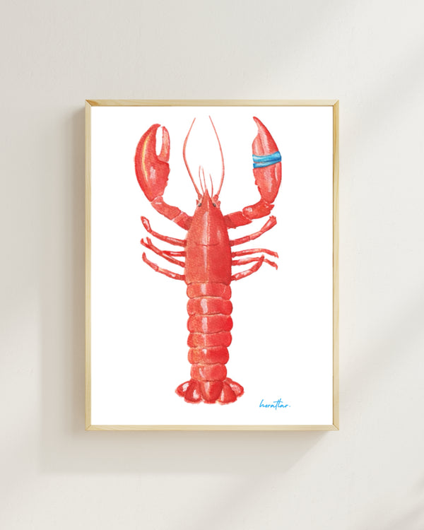 Hazal Türer - Lobster fine art baskı