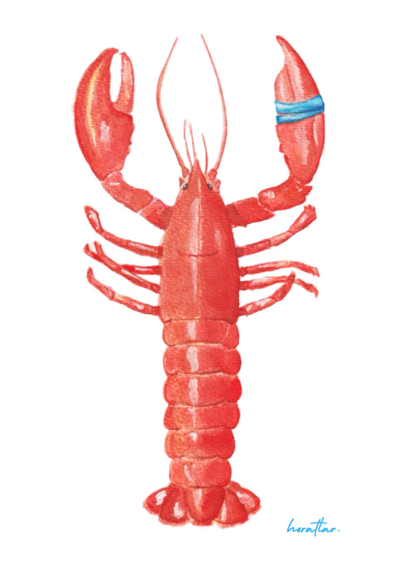 Hazal Türer - Lobster fine art baskı