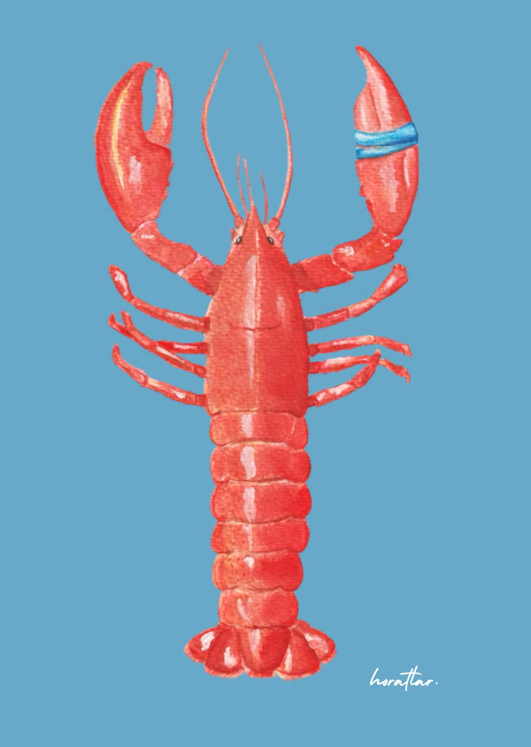 Hazal Türer - Lobster (Blue)