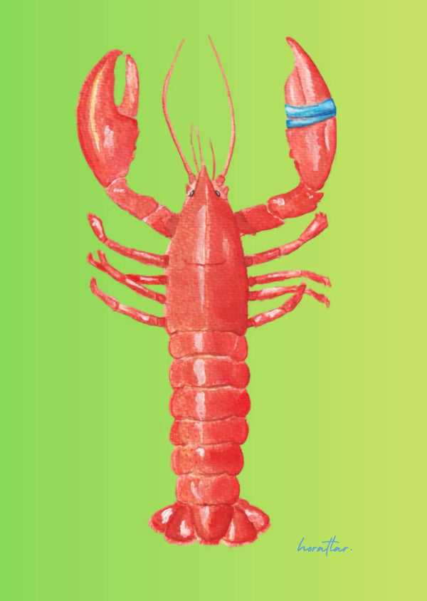 Hazal Türer - Lobster (Green)