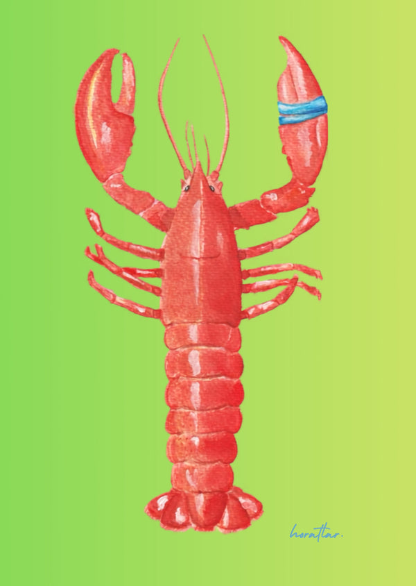 Hazal Türer - Lobster 3-Piece Set