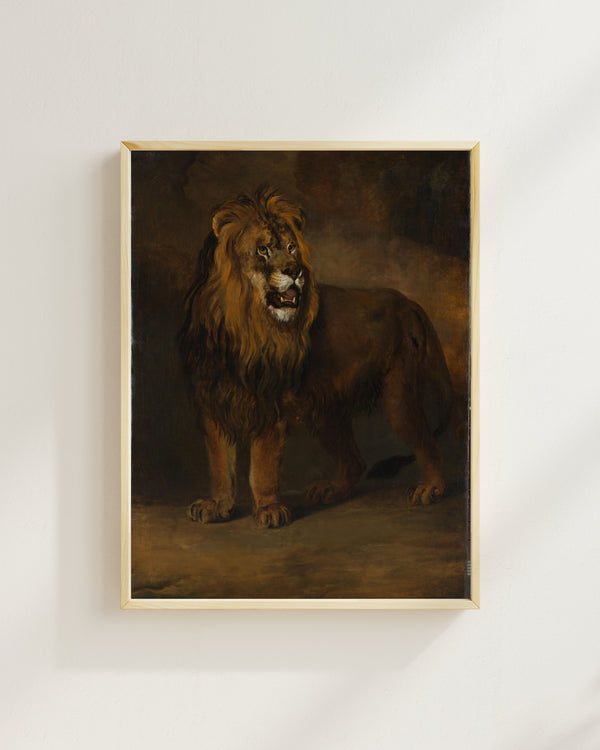 Pieter Gerardus van Os - Kral Louis Napoléon’un Hayvanat Bahçesinden Bir Aslan