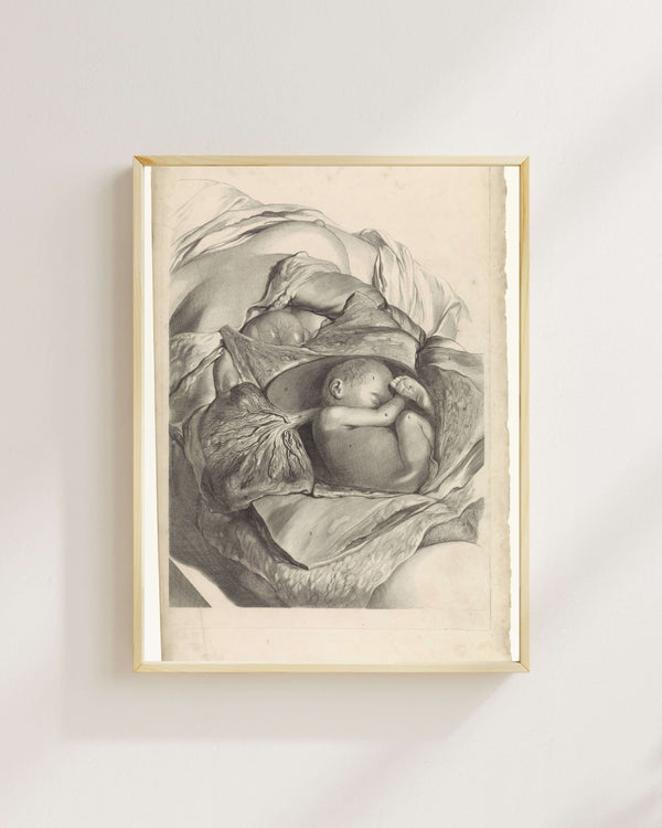 Pieter van Gunst - Rahmin İç Yapısı ve Fetüs Üzerine Anatomik Çalışma fine art baskı