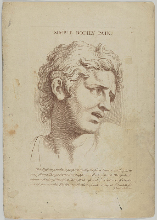 Charles Le Brun - Basit Bedensel Acı Fine Art Baskı