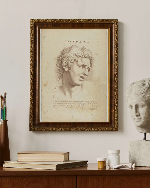 Charles Le Brun - Basit Bedensel Acı Fine Art Baskı