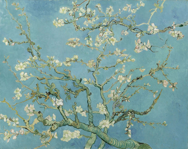 Vincent van Gogh - Badem Çiçeği fine art baskı