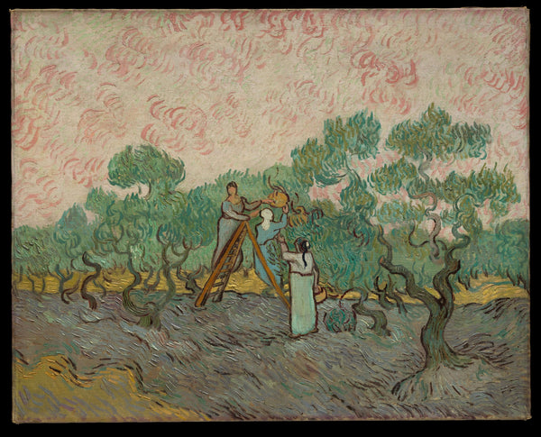 Vincent van Gogh - Zeytin Toplayan Kadınlar tablo