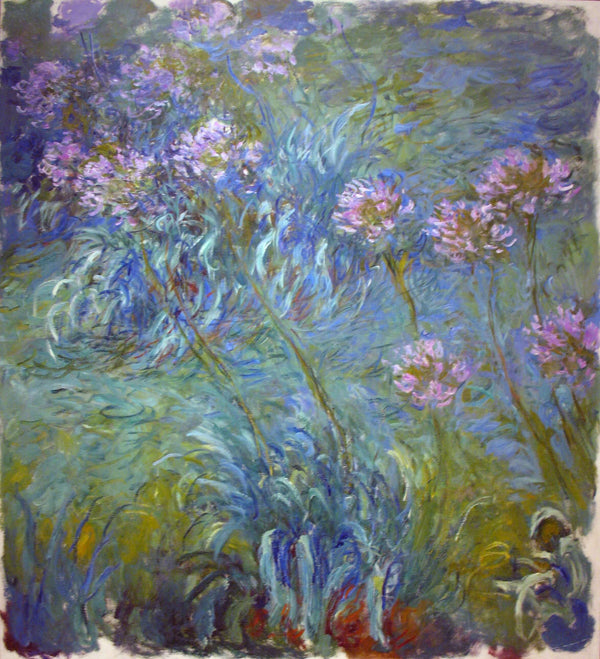 Claude Monet - Agapanthus Fine Art Baskı