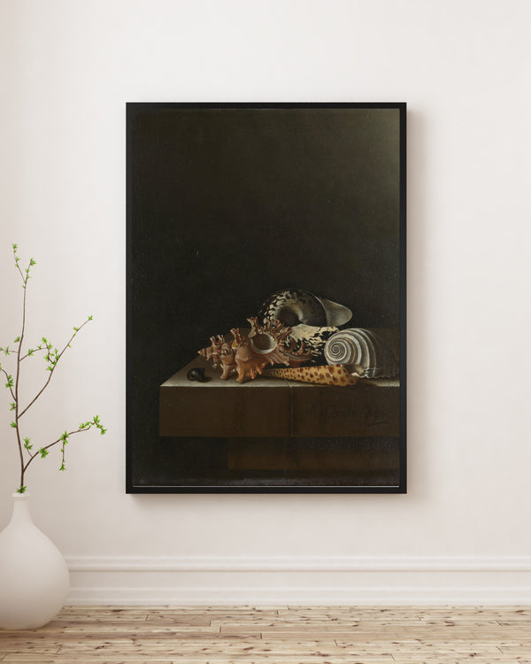 Adriaen Coorte - Taş Kaide Üzerinde Deniz Kabukları Poster