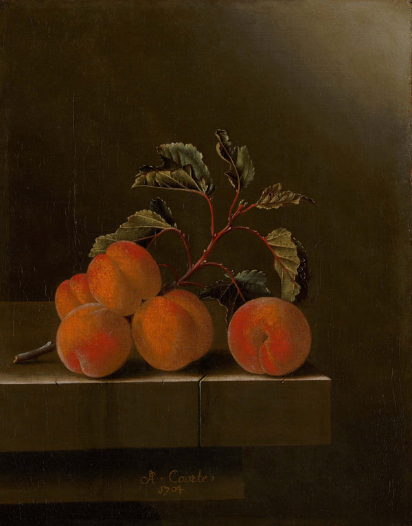Adriaen Coorte - Beş Kayısılı Natürmort fine art baskı