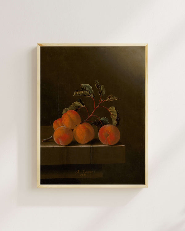 Adriaen Coorte - Beş Kayısılı Natürmort fine art baskı