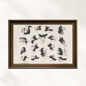 Anoniem - Gölge İmgeler fine art baskı
