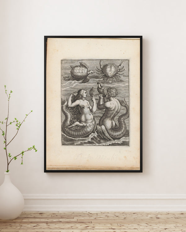 Anonim - Kaplumbağa, Yengeç, Denizkızı ve Deniz Adamı