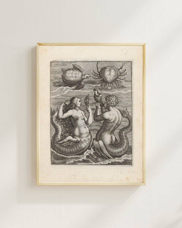 Anonim - Kaplumbağa, Yengeç, Denizkızı ve Deniz Adamı