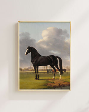 Anthony Oberman - Adriaan van der Hoop’un Koşu Atı De Vlugge Merada Fine Art Baskı