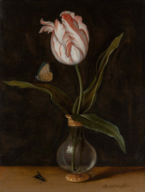 Balthasar van der Ast - Vazoda Tek Bir Lale fine art baskı