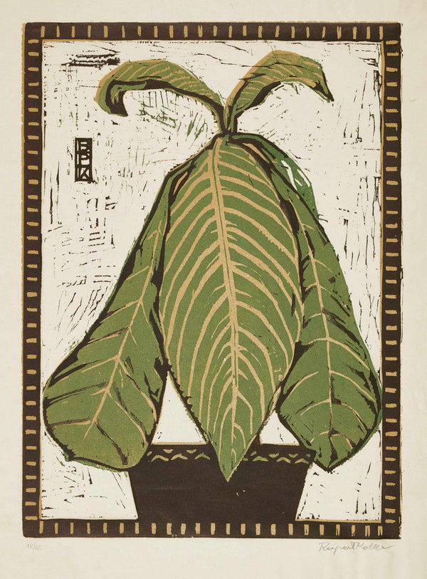 Broncia Koller-Pinell - Potted Plant