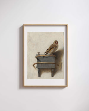 Carel Fabritius - Saka Kuşu fine art baskı