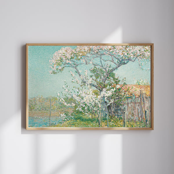 Childe Hassam - Eski Lyme'da Çiçek Açan Elma Ağaçları
